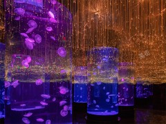 星空吊灯YC-XKDD01