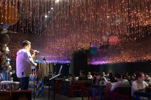 网红餐厅光纤灯