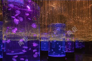 哈尔滨海洋馆